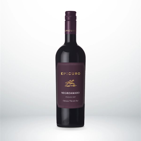 Epicuro Negroamaro IGT Flasche 0,75l