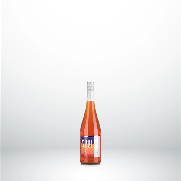 Stettner Kleiner Spritz Flasche 0,2l